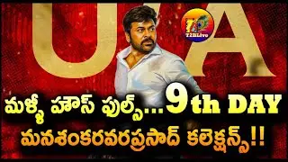 Mana Shankara Vara Prasad Garu 9th Day Collection |Mana Shankara Vara Prasad Garu Day 9 Collection