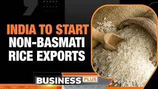 India Rice Export Ban News: Govt Allows 75k Tonnes of Non-Basmati Rice Export to UAE | Business Plus
