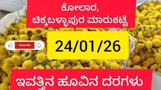 January 24, 2026 today's flowers rates at Kolar, chikkaballapura flower markets 