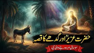 A Quranic-Inspired Reflection on Life and Time | AI Story | Hazrat Uzair A.s Aur Gadhe Ka Khissa