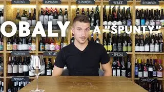 OBALY A 