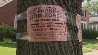 Homeowner Waits Years for City Tree Trim Service