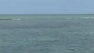 beautiful sea views, cool beach breeze Live streaming Sea view with Adora Gayatri Vlogs Asmr