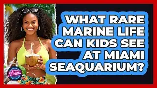 What Rare Marine Life Can Kids See At Miami Seaquarium? - Everything About Miami