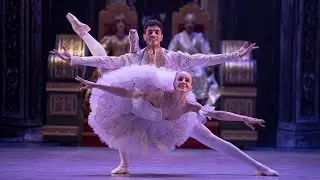 Sleeping beauty lll act pas de deux ( 2025 ) Cairo opera ballet company