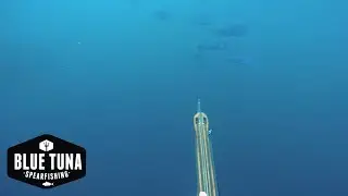 Shooting Dorado with Andre Reef Roller