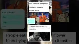 #shorts #vote #funny #trending #memes #effectking