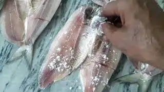 Sindh Hyderabad ki palla recipe