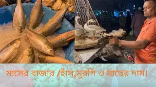 আজকের তাজা বাজার | Vegetable & Fish Market Video