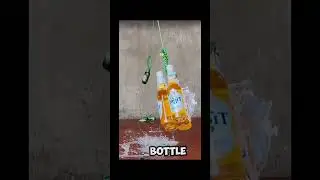 Orange vs green  #bottle #shorts