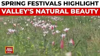 Kashmir's Spring Beauty Attracts Tourists as Valley Hosts Festivals | India Today