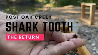 Return to Post Oak Creek | Shark Teeth & Fossil Hunting in Texas