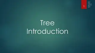 24 Tree - Introduction