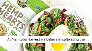 Manitoba Harvest Organic Hemp Hearts Raw Shelled Hemp Seeds - Gluten Free - REVIEW