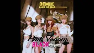 BLACKPINK - Pink Venom (Kpiseiro Remix)