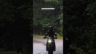 Into the Wild | Scrambler 400X Forest Ride