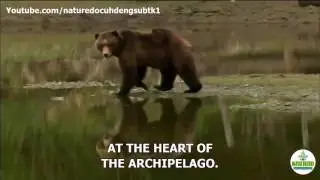 Nature documentary Fortress of the Bears full HD ★ Animals Channel HD