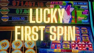 First Spin Magic ✨ Dragon Link & Huff N’ Puff Come Through #slot #casino #gambling 