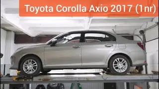 Toyota Corolla Axio 2017 (1nr, 1й рестайлинг). Защита двигателя и кпп