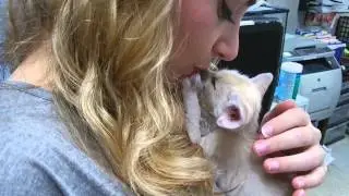 Animals at the Wildlife Learning Center