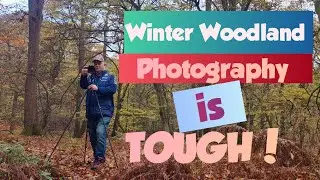 Photographing woodland in winter