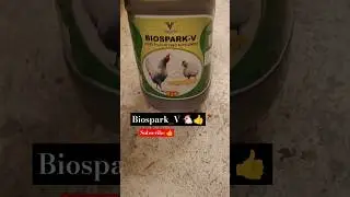 Biospark_V kb use Kiya jata hai 🐔🤔 #uk11_poultry_tips #poultry #chicken #poultry_medicine #broiler