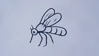 How to draw Mosquito drawing 🦟/Mosquito drawing easy step by step