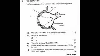 2021 GRADE 9 INTEGRATED SCIENCE (RESPIRATORY SYSTEM)
