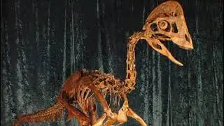 AmirJan - Chicken Bone (phonk-metal, memphis, phonk, sigilkore, instrumental)