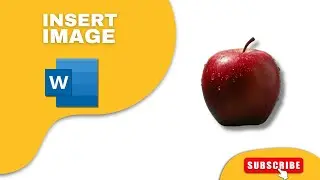 How to Insert Image in MS Word Document