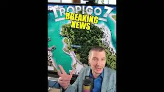 Tropico 7: Новые кадры строительства дорог без сетки #tropico #strategygames #pcgaming #gaming #g...