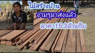 ไม้มาส่งแล้วแต่ยังไม้ครบ ขาดบาลประตูหน้าต่างสังกะสี🇱🇦❤️🇹🇭❤️🇺🇲#บ่าวลาวพาเพลิน#31/1/26