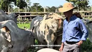 17 de janeiro de 2026