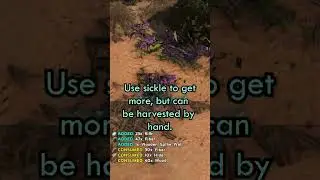 Where to Find Silk in Ark: Scorched Earth #shorts