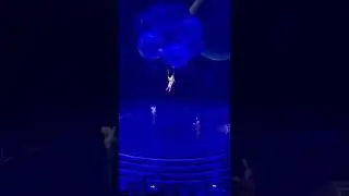 Flying with Balloons #shorts #stunt #circus