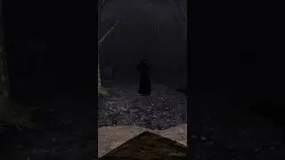 How's that fair? #pacify #jumpscare #scarygaming #horrorgaming #jumpscares #shorts #gaming #witch