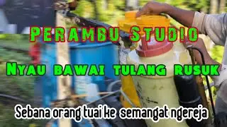 Sebana orang tuai ke pengering ati ngereja utai.Subscribe channel Perambu.