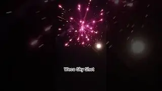 MEGA AUSBREITUNG Weco Sky Shot #feuerwerk #pyro #silvester
