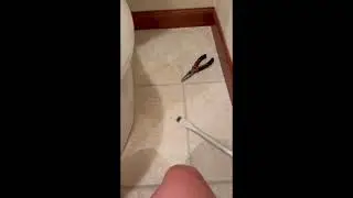 Stubborn Plastic Screw on Toilet -- Fix