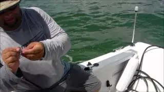 Red neck and Arab Fishing