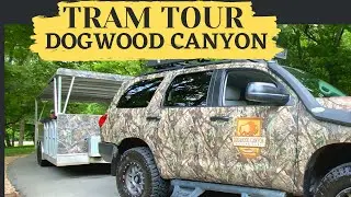 Tram Tour at Dogwood Canyon Nature Park   | Missouri |  Cross 2 State in Dogwood Canyon Tram Tour !
