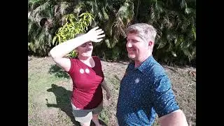 Countdown to the Raymond gender reveal!