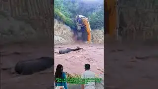 Witness an extraordinary duel against nature! In c