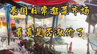 逛一逛泰国菜市场 朋友们觉得泰国的物价贵吗？￼￼
