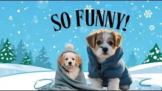 Animals vs Snow | Hilarious First-Time Winter Reactions 😂❄️