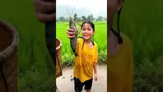 Little Girl Catches Big Prawn#fishing #fishkeepinghobby #fishcatching #naturelovers #fishing