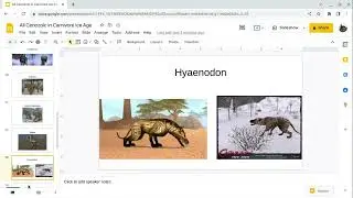 All Cenozoic in 