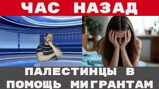 ПАЛЕСТИНЦЕВ уже завозят МИГРАНТЫ уже нападают