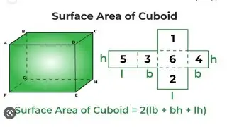 Cuboid and it's formula full explanation in Urdu/hindi #total surface area of cuboid