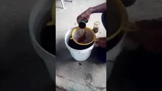 Fish Amino Acid (FAA). Spraying our plants fermented fish.